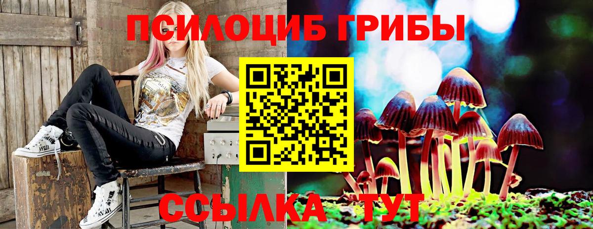 Мценск  Псилоцибиновые грибы GOLDEN TEACHER  Вход с VPN 